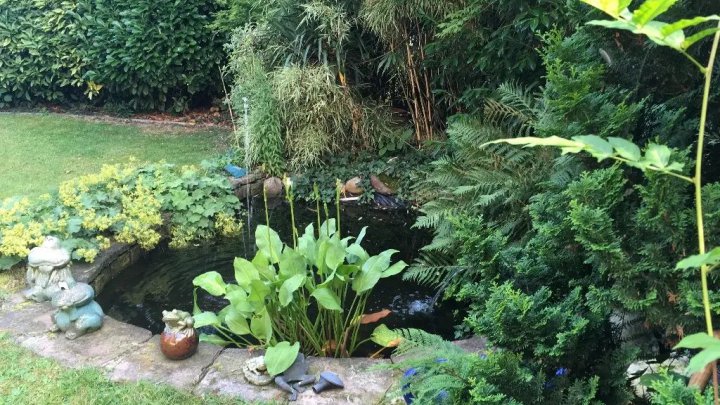  In traumhafter Lage: Düsseldorf-Oberkassel - vielseitig nutzbares Mehrfamilienhaus